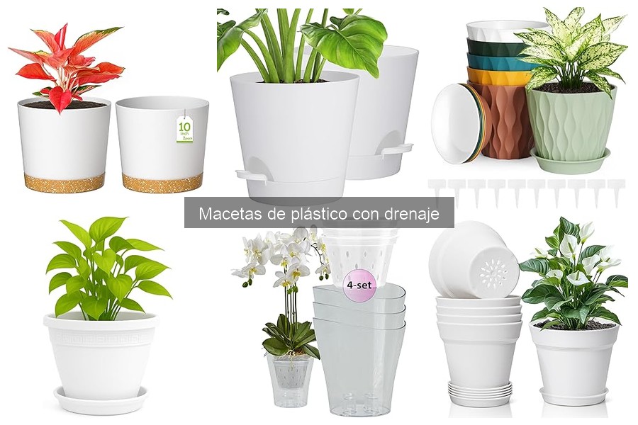 Ventajas y Desventajas de Macetas de Plástico con Drenaje