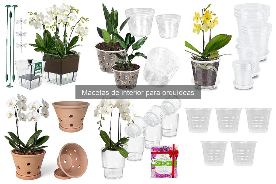 Ventajas y desventajas de macetas de plástico para orquídeas