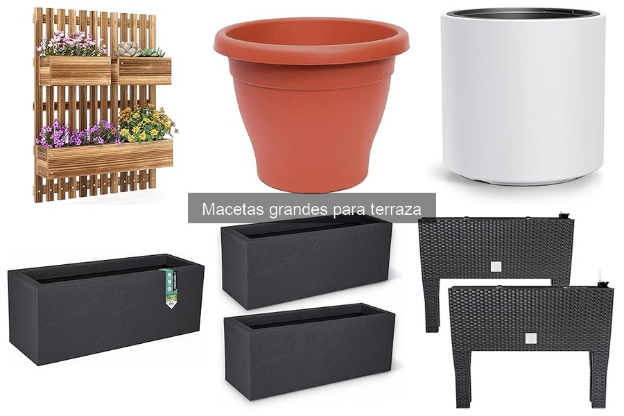 Ventajas y Desventajas de Macetas Grandes para Terrazas