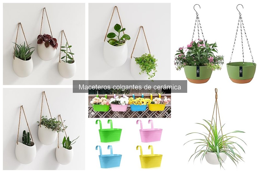Ventajas y desventajas de maceteros colgantes de cerámica