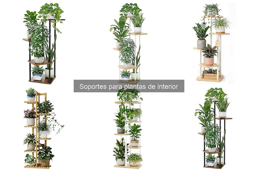 Ventajas y Desventajas de Soportes para Plantas de Interior