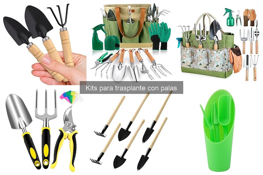 Ventajas y desventajas de un kit para trasplante de plantas